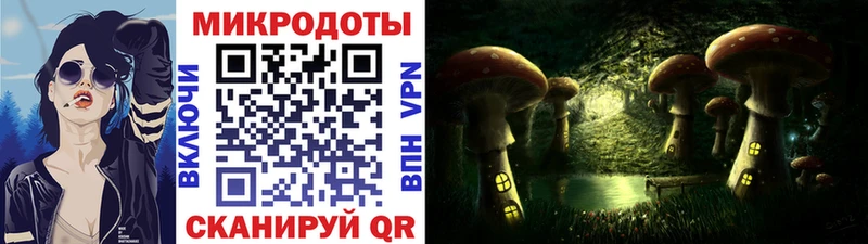 Галлюциногенные грибы Psilocybe  гидра рабочий сайт  Нахабино  закладка 